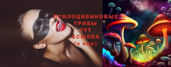бошки Абинск