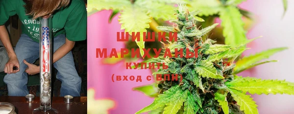 прущие грибы Алзамай
