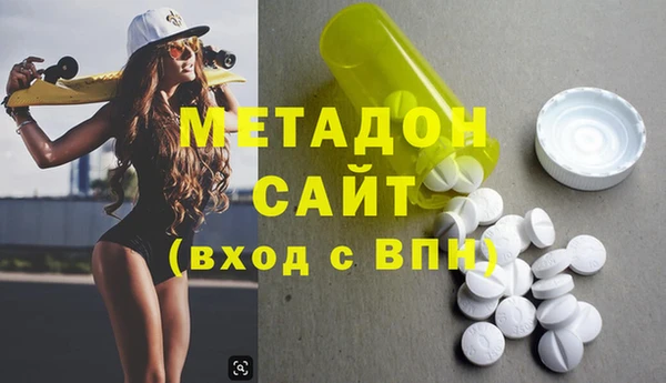 прущие грибы Алзамай