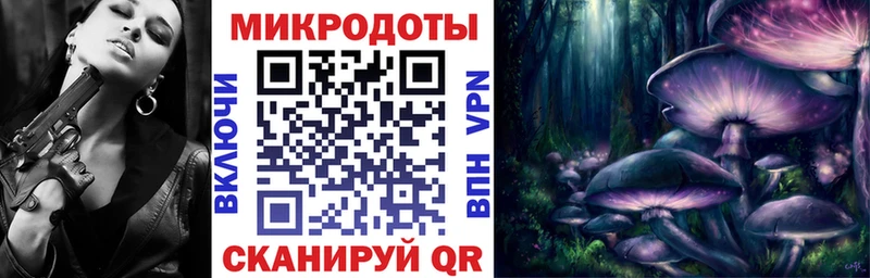 МЕГА ссылки  закладки  Циолковский  Псилоцибиновые грибы прущие грибы 