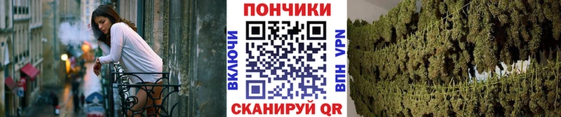 Бошки марихуана сатива Циолковский